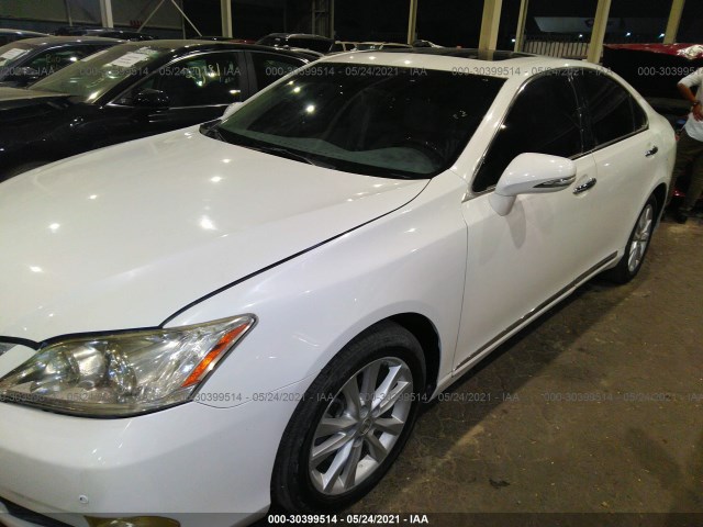 Photo 1 VIN: 00000000000503461 - LEXUS ES 