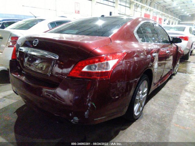 Photo 3 VIN: 004AA5AP0AC841512 - NISSAN MAXIMA 