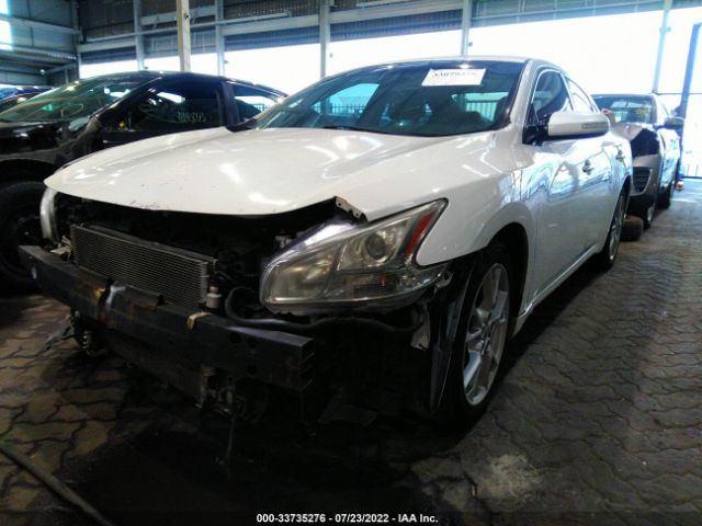 Photo 1 VIN: 004AA5AP0CC869099 - NISSAN MAXIMA 