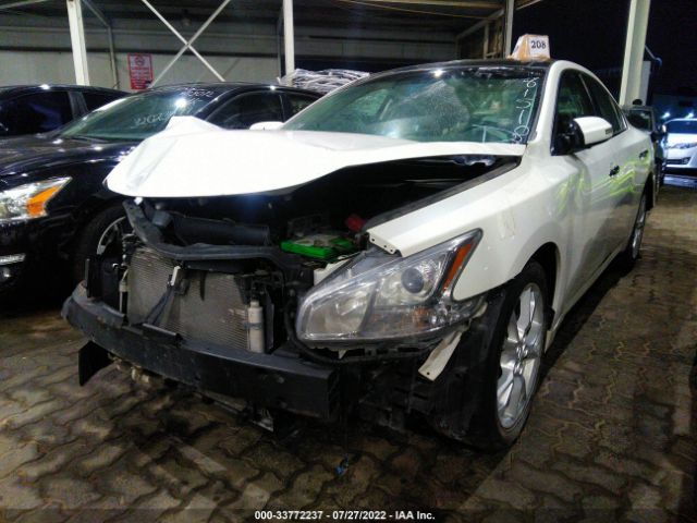 Photo 1 VIN: 004AA5AP3CC815103 - NISSAN MAXIMA 