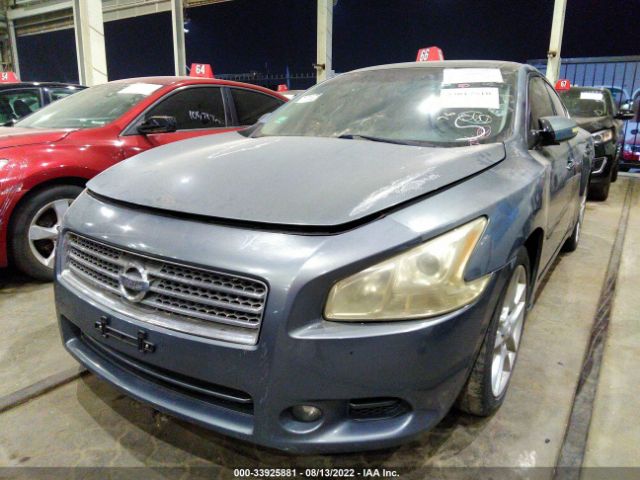 Photo 1 VIN: 004AA5AP5AC811793 - NISSAN MAXIMA 