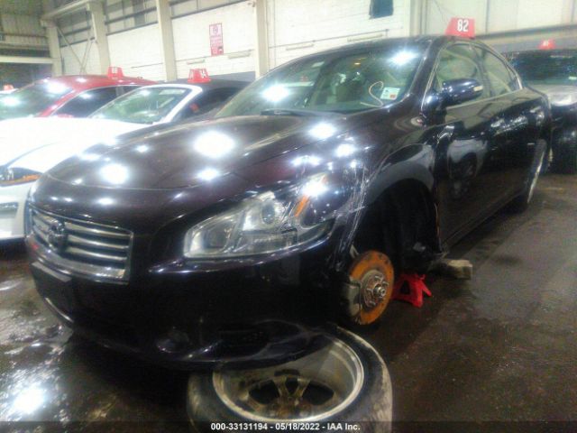 Photo 1 VIN: 004AA5AP7DC844329 - NISSAN MAXIMA 