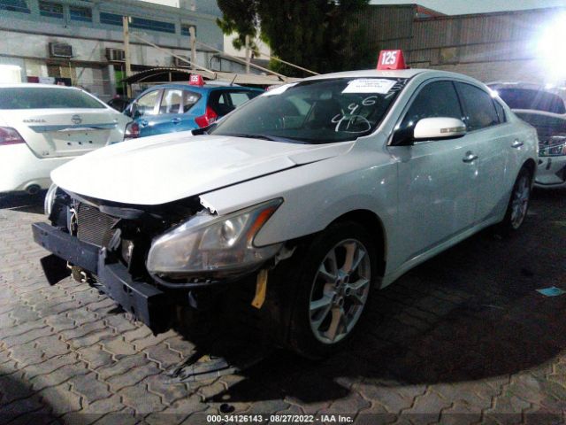 Photo 1 VIN: 004AA5AP8EC431644 - NISSAN MAXIMA 