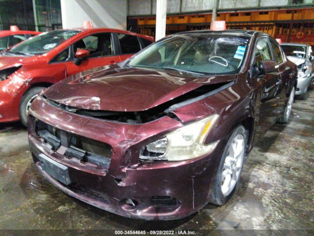 Photo 1 VIN: 004AA5AP8EC477961 - NISSAN MAXIMA 