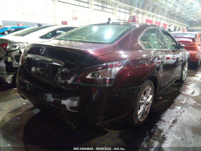 Photo 3 VIN: 004AA5AP8EC477961 - NISSAN MAXIMA 