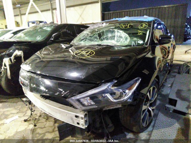 Photo 1 VIN: 004AA6AP0GC381721 - NISSAN MAXIMA 