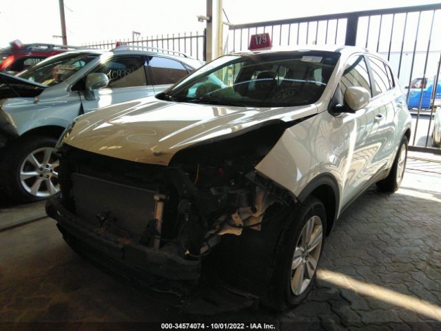 Photo 1 VIN: 00DPM3AC2K7610795 - KIA SPORTAGE 