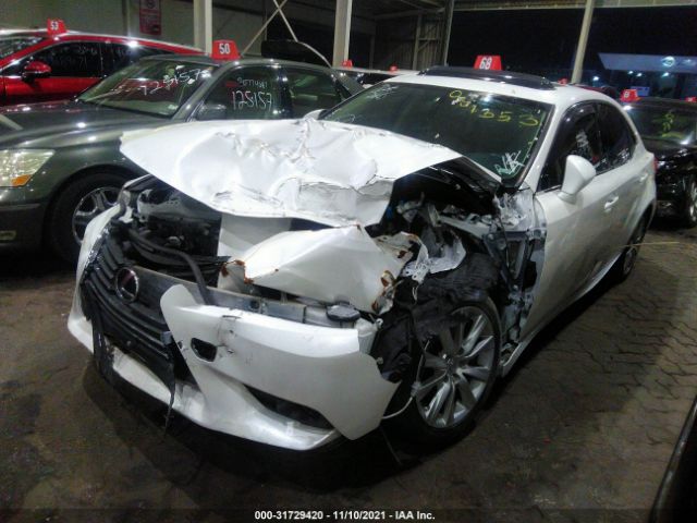 Photo 1 VIN: 00HBF1D23F5081353 - LEXUS IS 250 