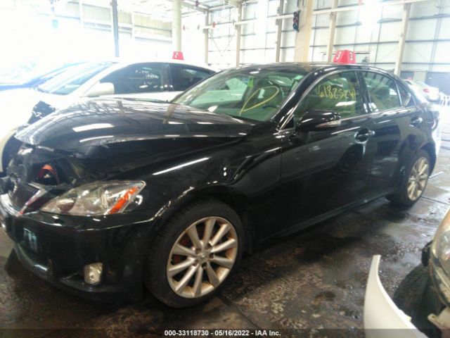 Photo 1 VIN: 00HCF5C21A5043383 - LEXUS IS 250 