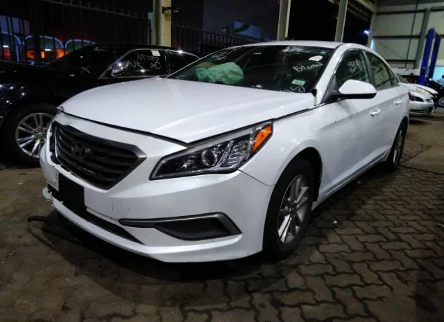 Photo 1 VIN: 00PE24AF1HH474564 - HYUNDAI SONATA 