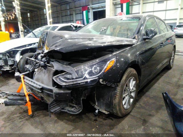 Photo 1 VIN: 00PE24AF8JH667798 - HYUNDAI SONATA 