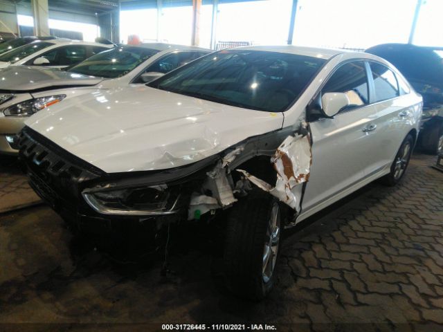 Photo 1 VIN: 00PE34AF9KH750834 - HYUNDAI SONATA 