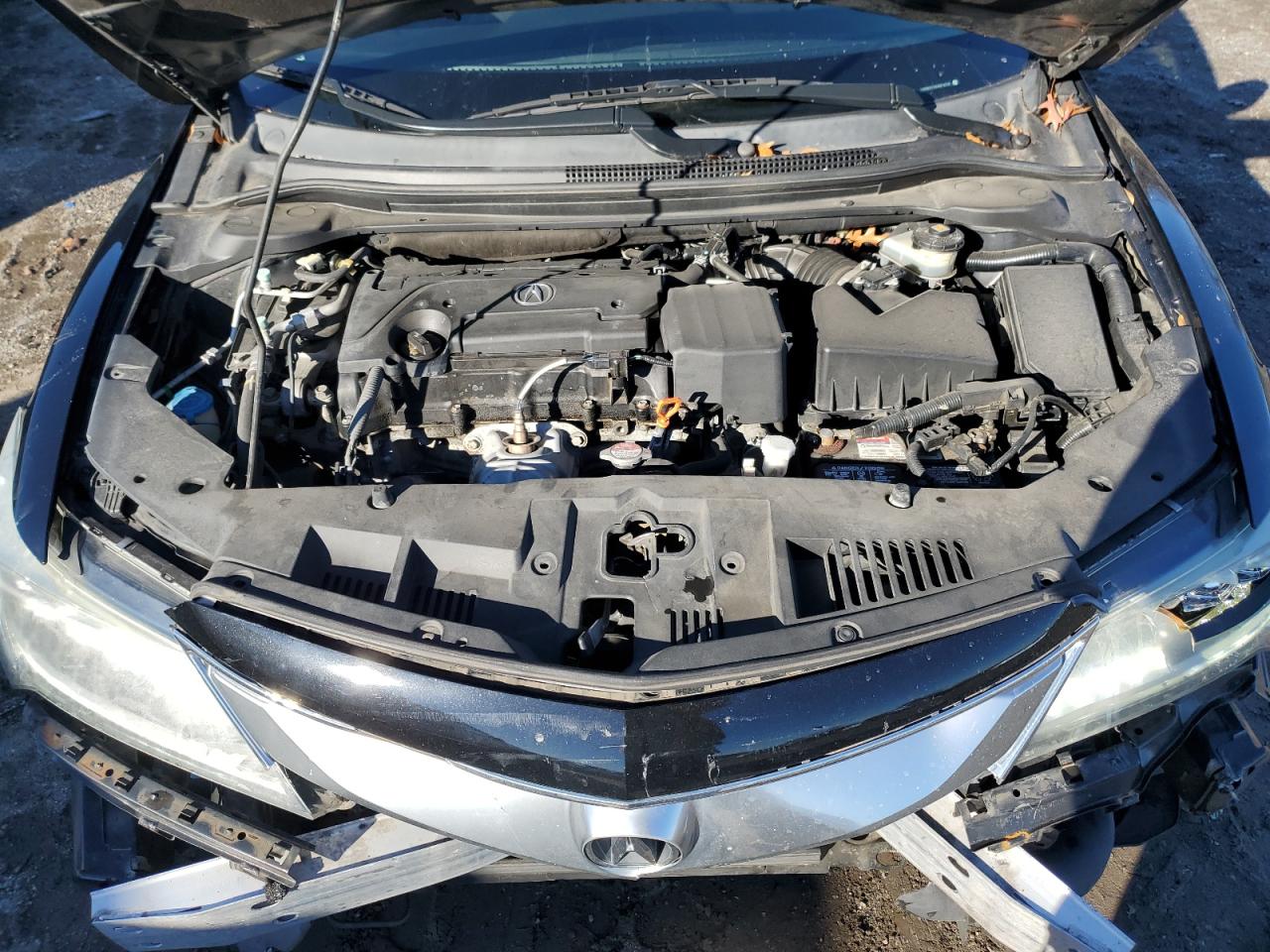 Photo 10 VIN: 19UDE2F34GA014246 - ACURA ILX 