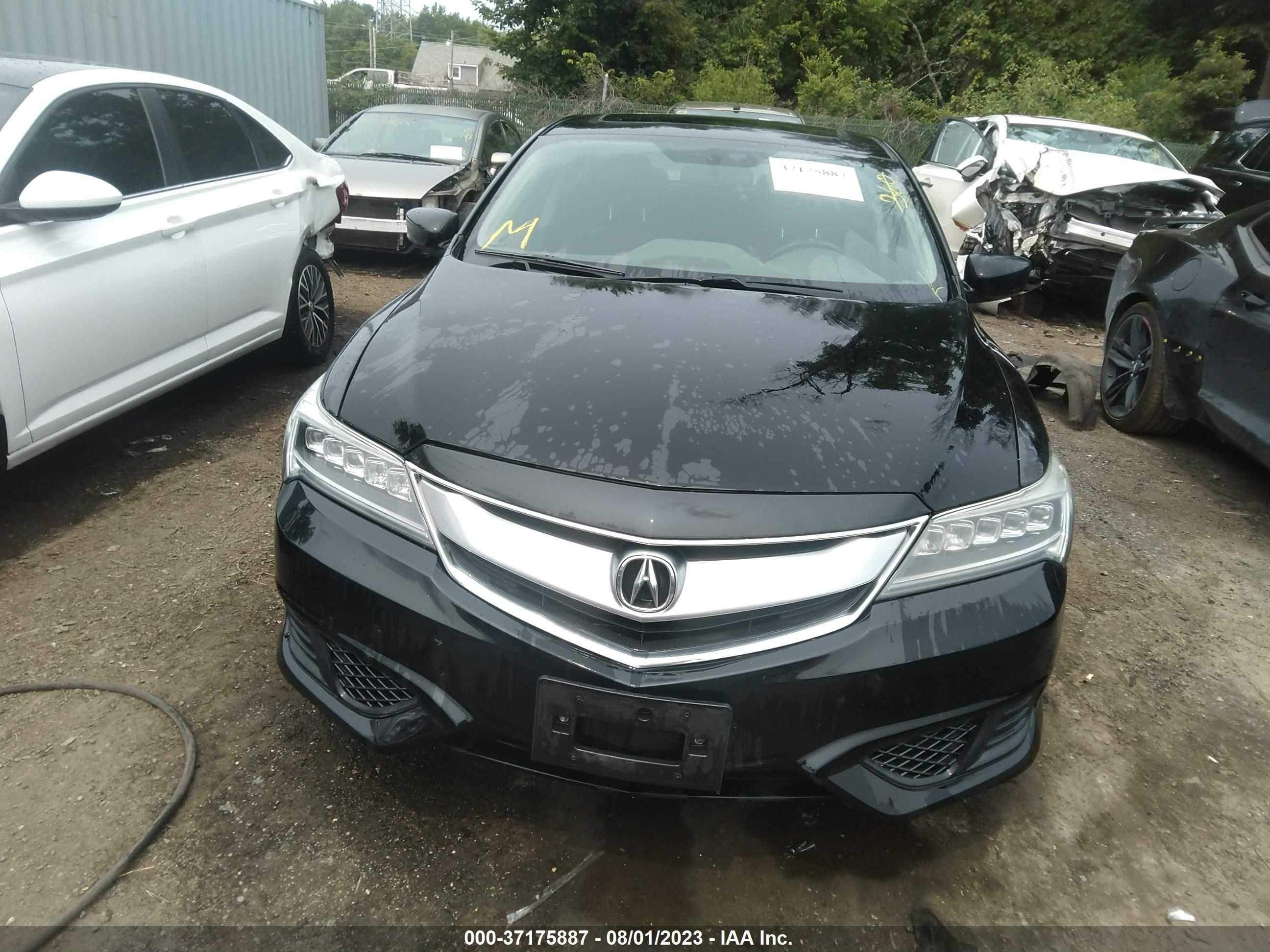 Photo 12 VIN: 19UDE2F36GA024907 - ACURA ILX 