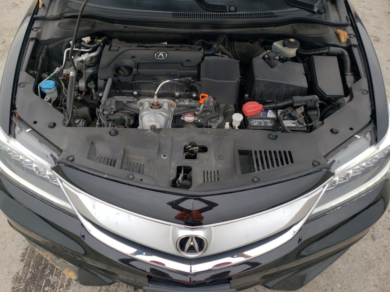 Photo 10 VIN: 19UDE2F37JA010229 - ACURA ILX 