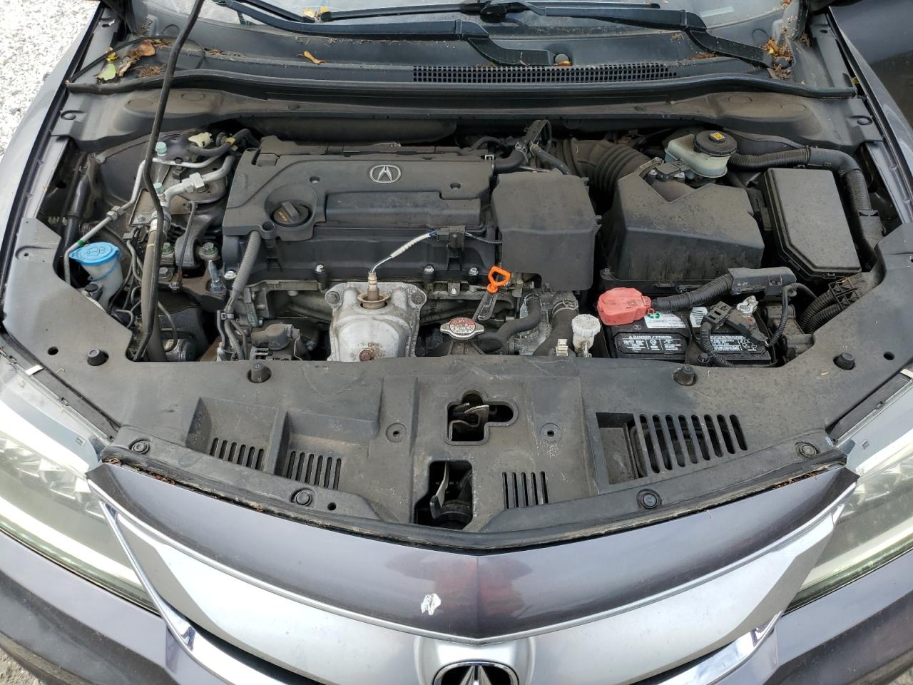 Photo 10 VIN: 19UDE2F70HA002826 - ACURA ILX 