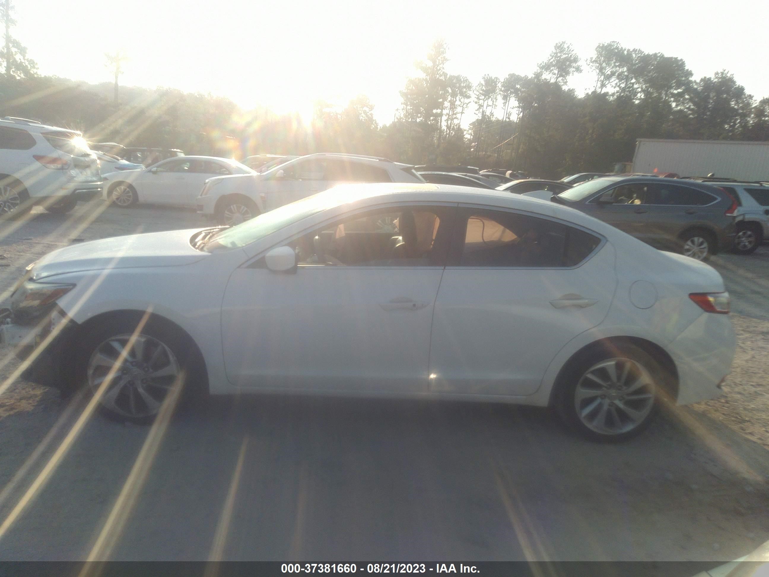 Photo 13 VIN: 19UDE2F76HA003608 - ACURA ILX 