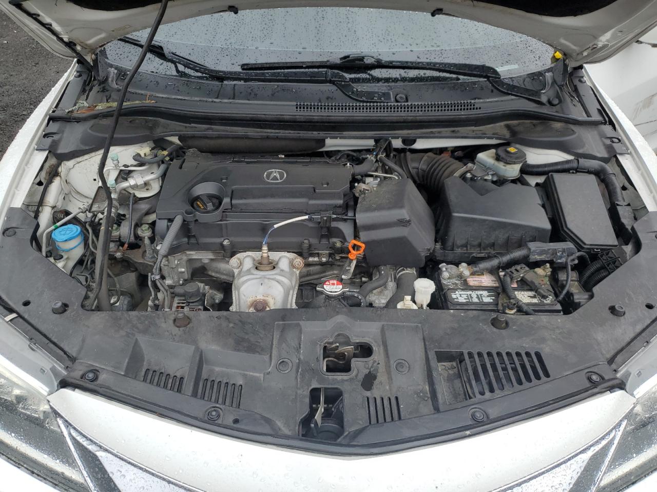 Photo 10 VIN: 19UDE2F7XHA006852 - ACURA ILX 