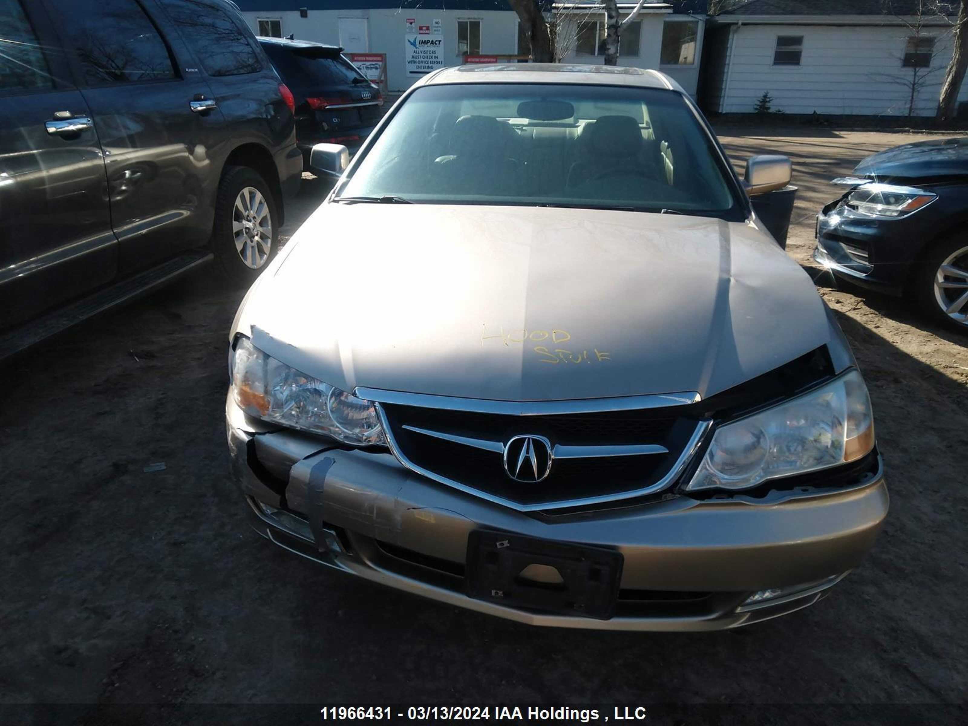 Photo 11 VIN: 19UUA56653A804897 - ACURA TL 