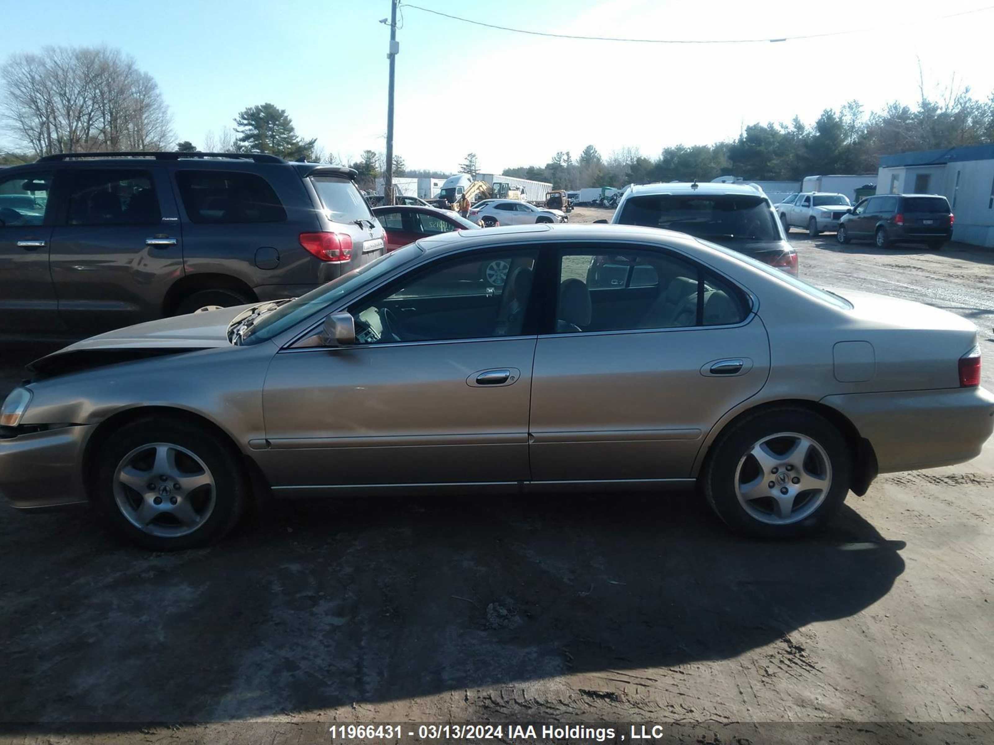 Photo 13 VIN: 19UUA56653A804897 - ACURA TL 