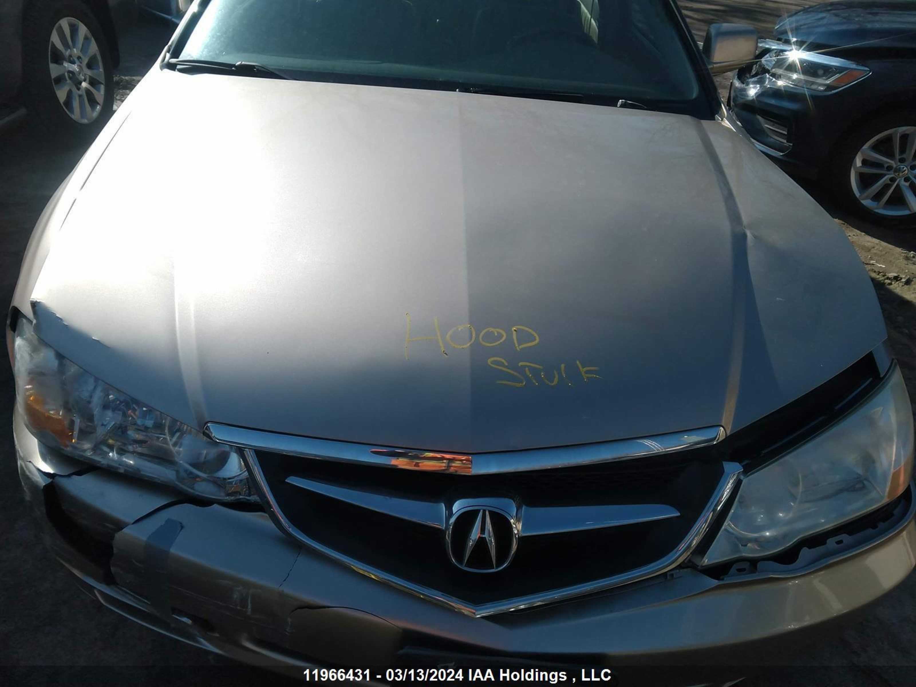 Photo 9 VIN: 19UUA56653A804897 - ACURA TL 