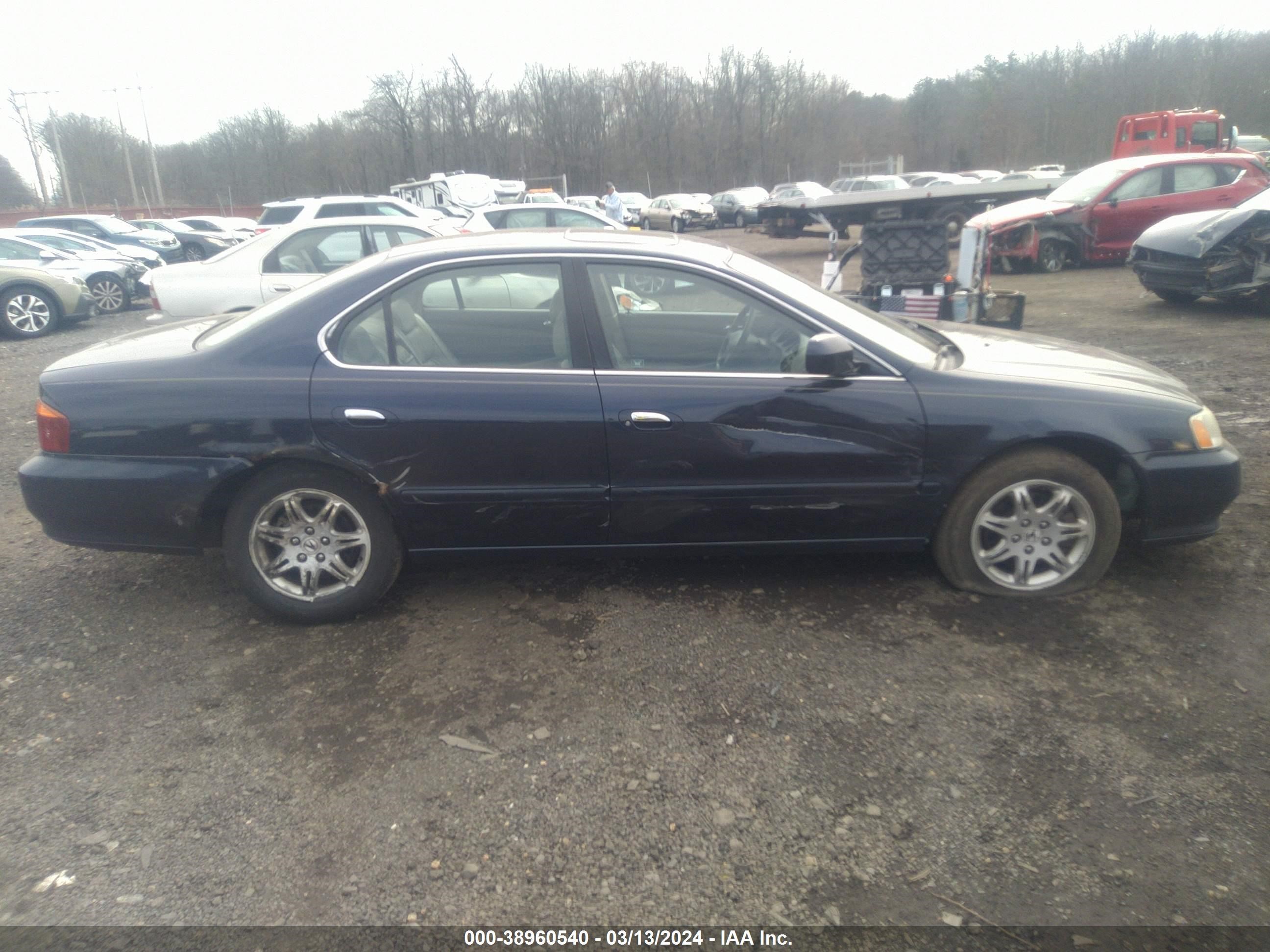 Photo 12 VIN: 19UUA56661A030673 - ACURA TL 