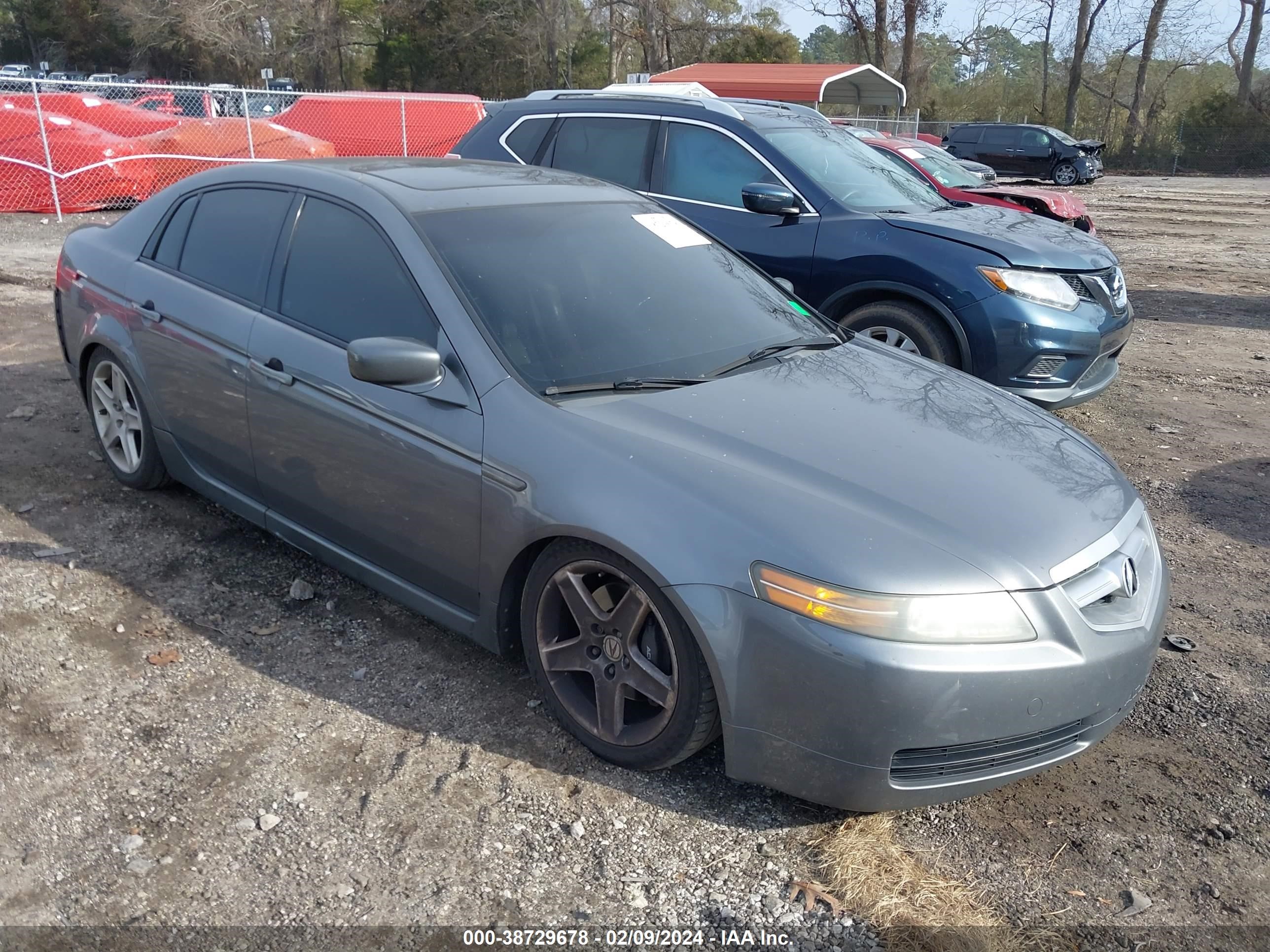 Photo 0 VIN: 19UUA65515A008262 - ACURA TL 