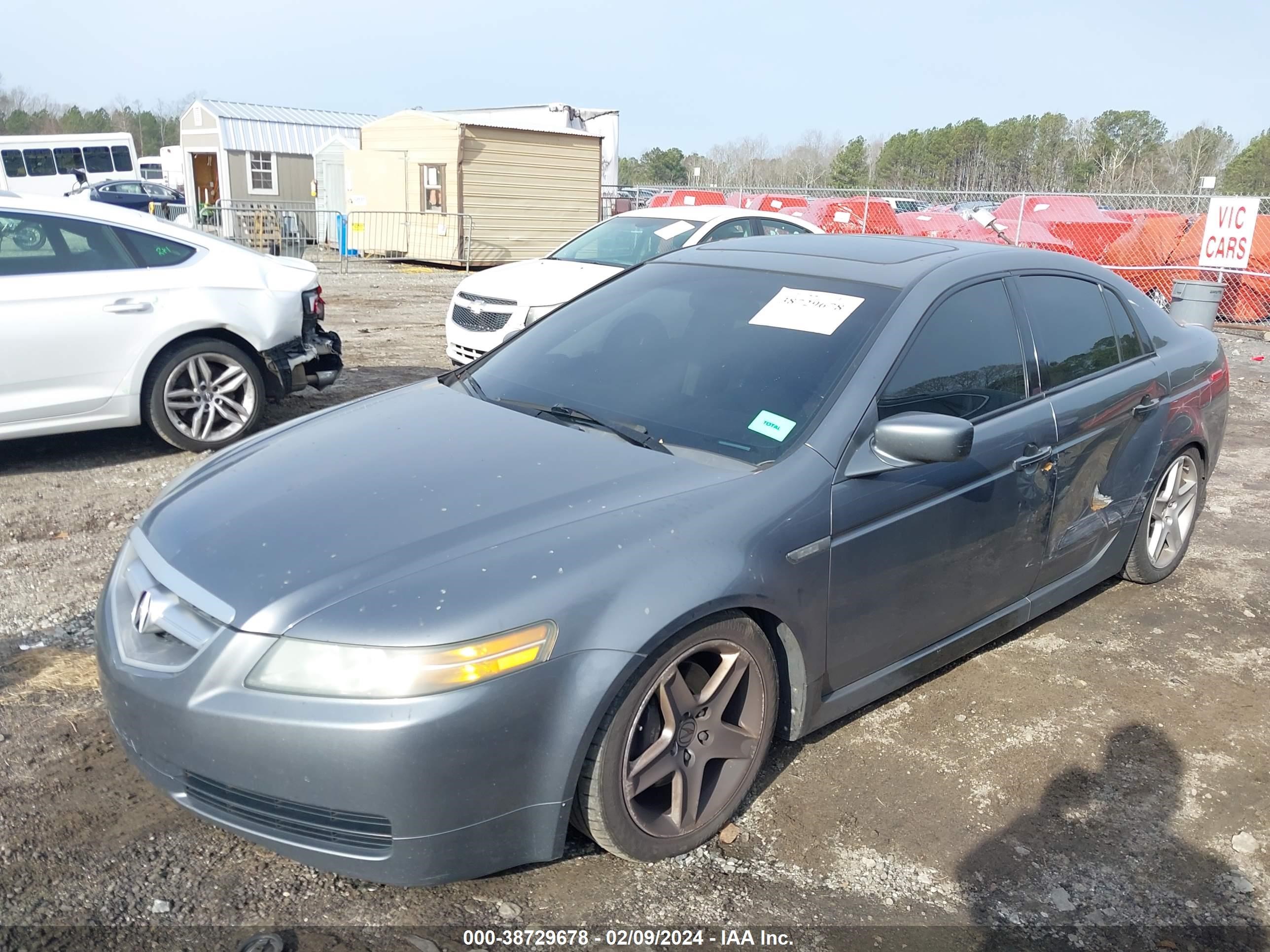 Photo 1 VIN: 19UUA65515A008262 - ACURA TL 