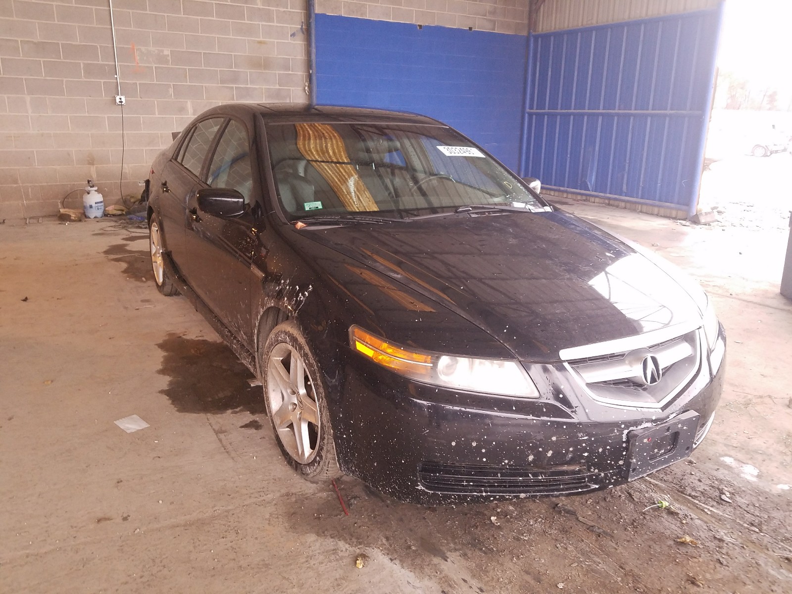 Photo 0 VIN: 19UUA65516A048715 - ACURA 3.2TL 