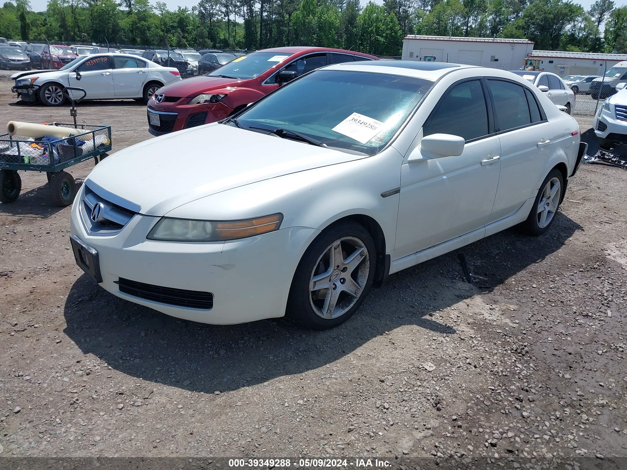 Photo 1 VIN: 19UUA65536A059697 - ACURA TL 