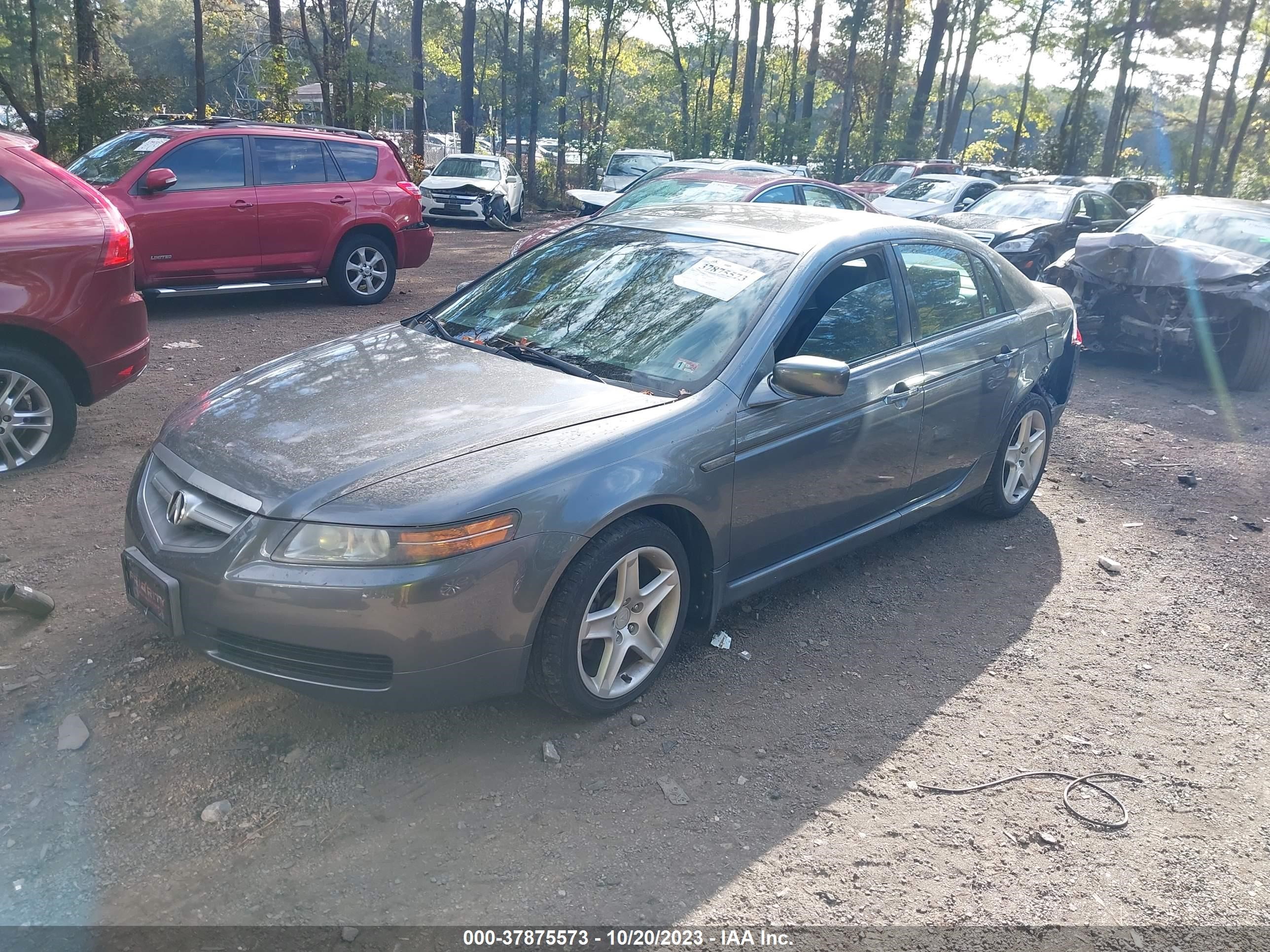 Photo 1 VIN: 19UUA66204A013648 - ACURA TL 