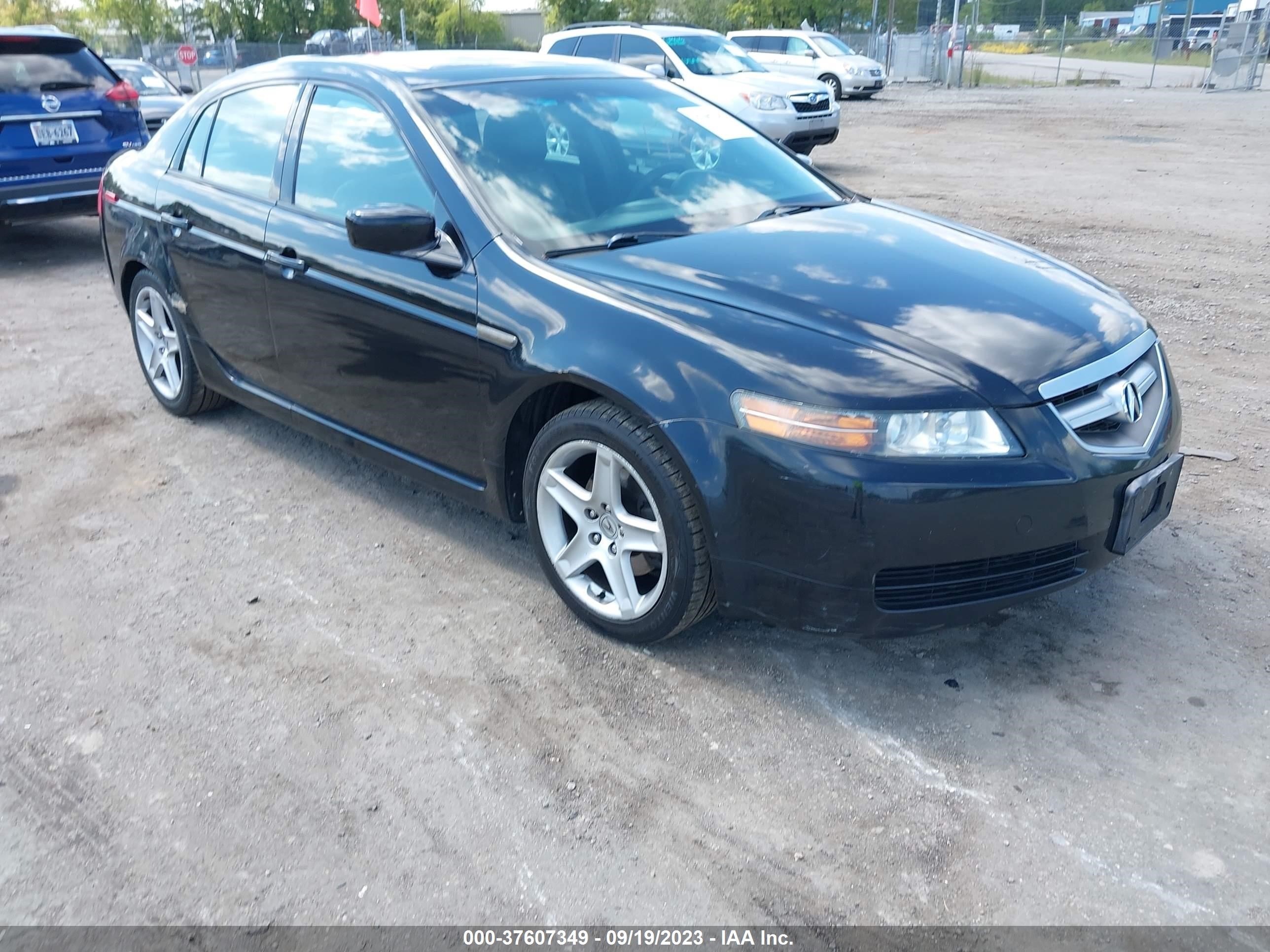 Photo 1 VIN: 19UUA66204A029283 - ACURA TL 