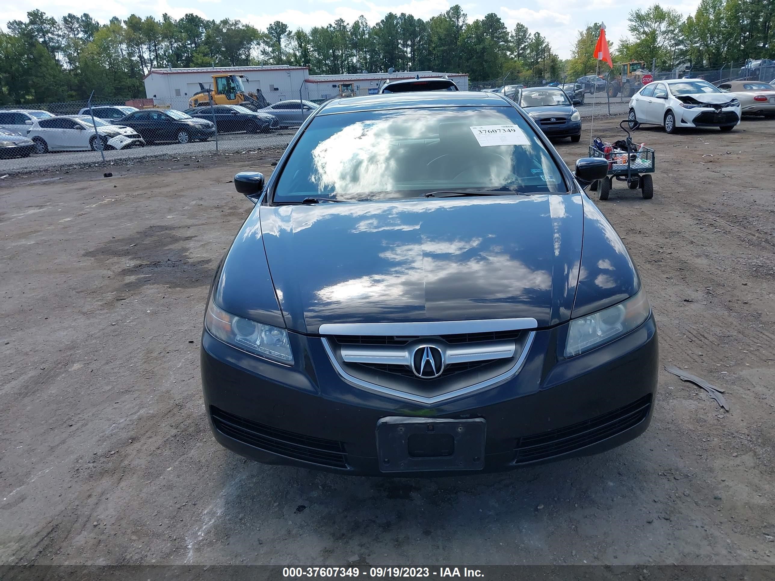 Photo 12 VIN: 19UUA66204A029283 - ACURA TL 