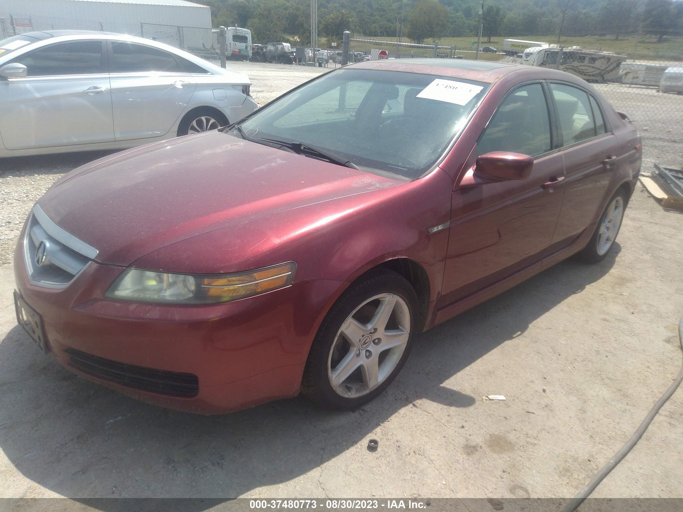 Photo 1 VIN: 19UUA66204A060095 - ACURA TL 