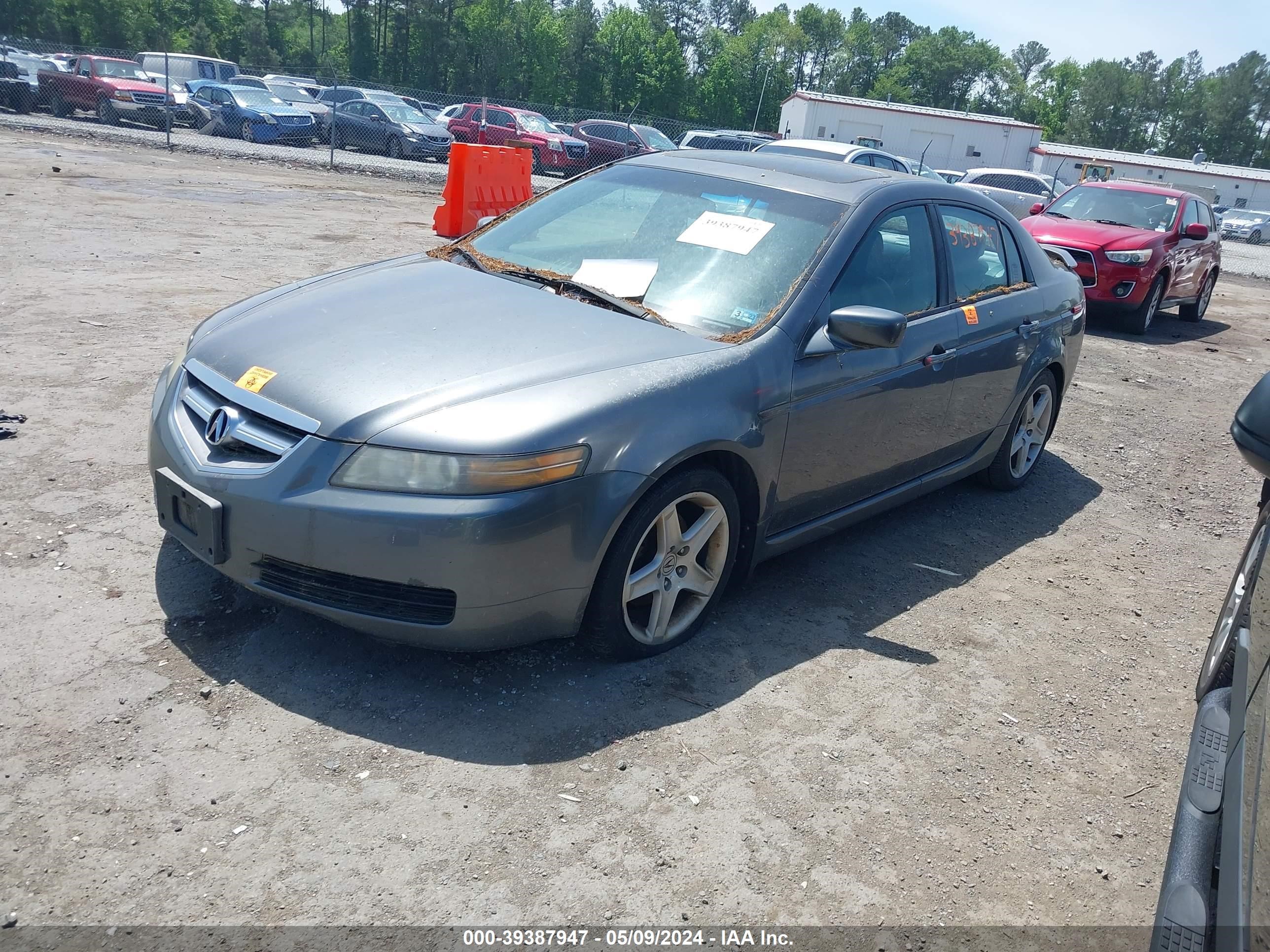 Photo 1 VIN: 19UUA66205A000626 - ACURA TL 