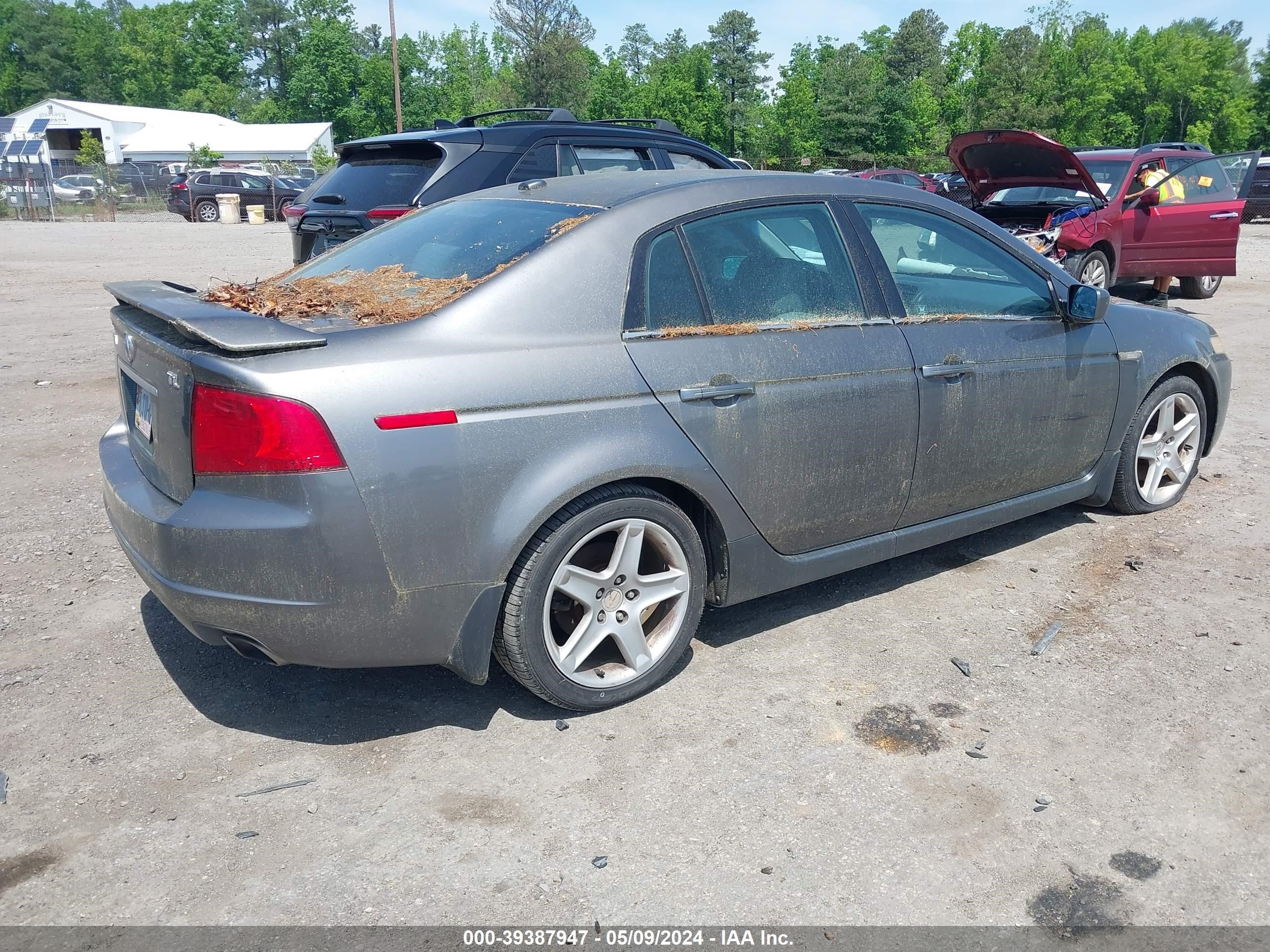 Photo 3 VIN: 19UUA66205A000626 - ACURA TL 