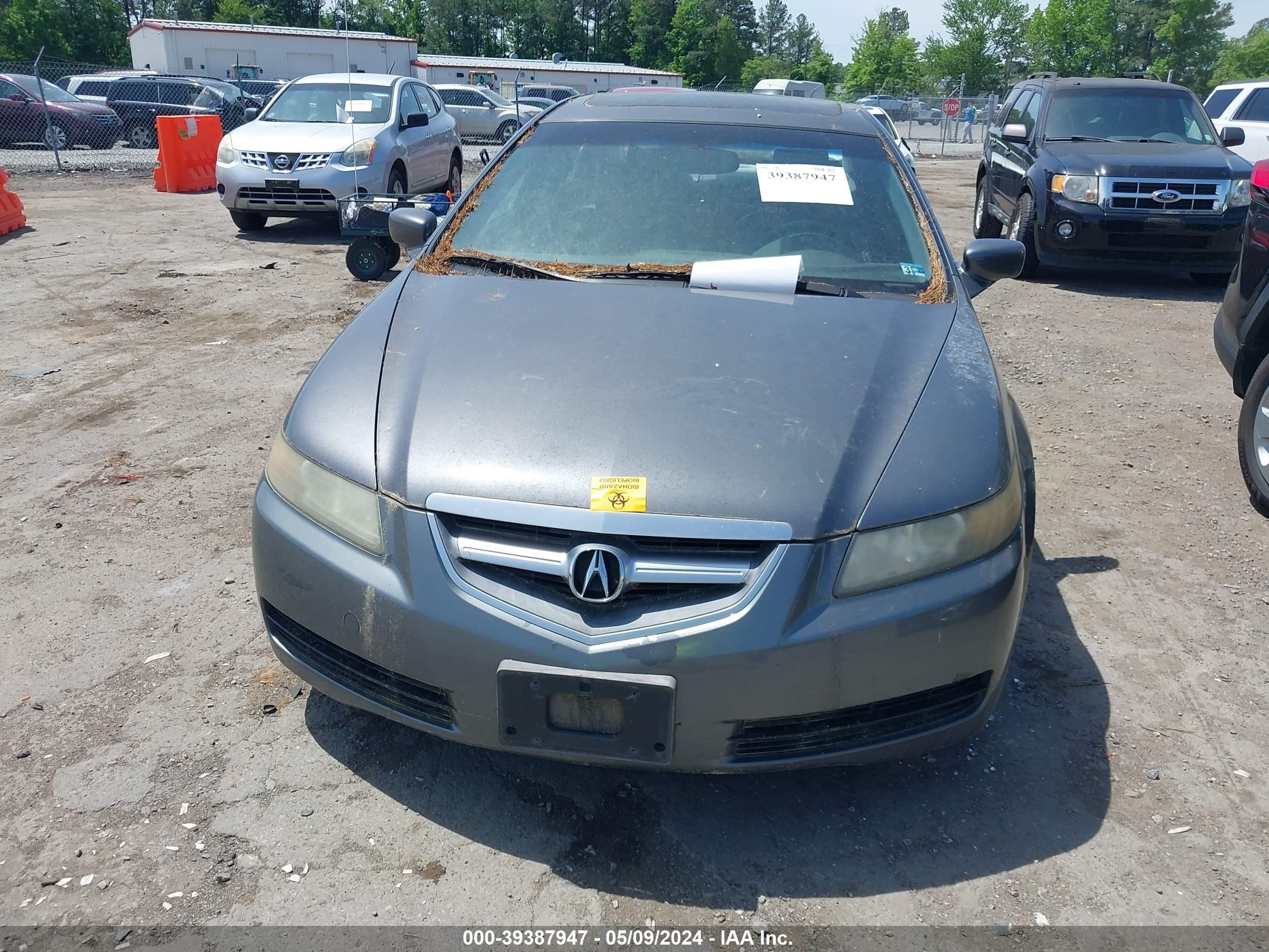 Photo 5 VIN: 19UUA66205A000626 - ACURA TL 