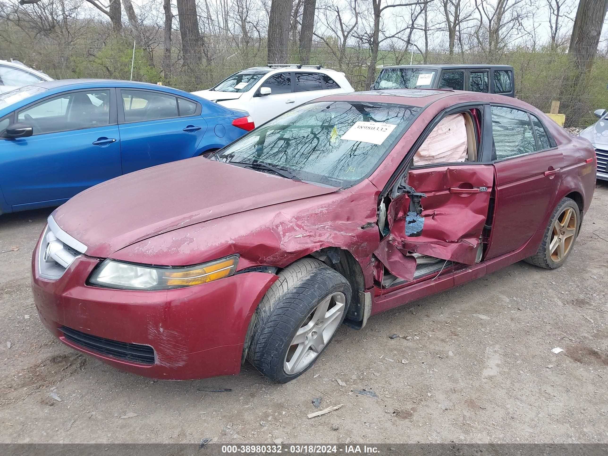 Photo 5 VIN: 19UUA66205A024649 - ACURA TL 