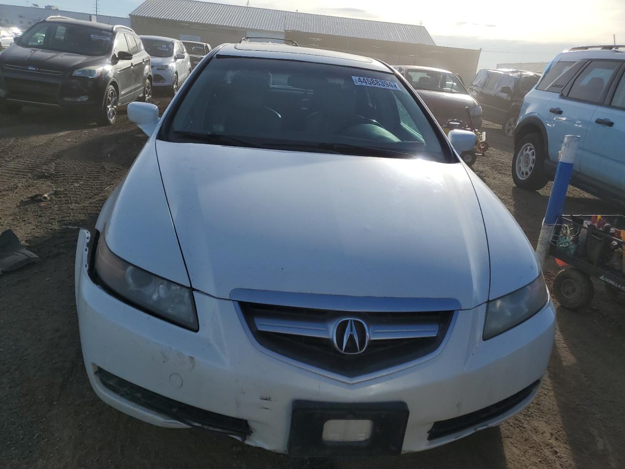 Photo 4 VIN: 19UUA66205A028619 - ACURA TL 