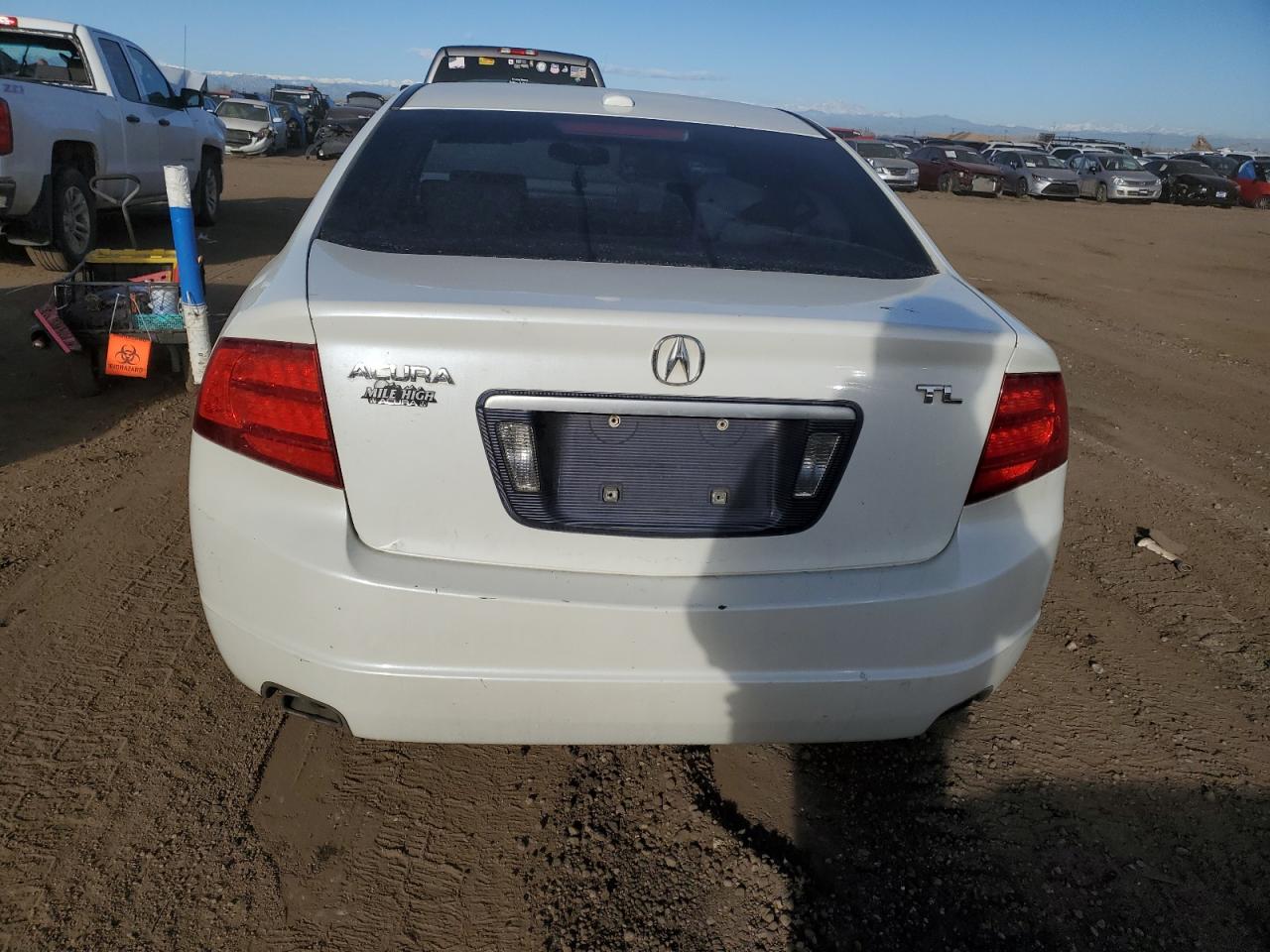 Photo 5 VIN: 19UUA66205A028619 - ACURA TL 