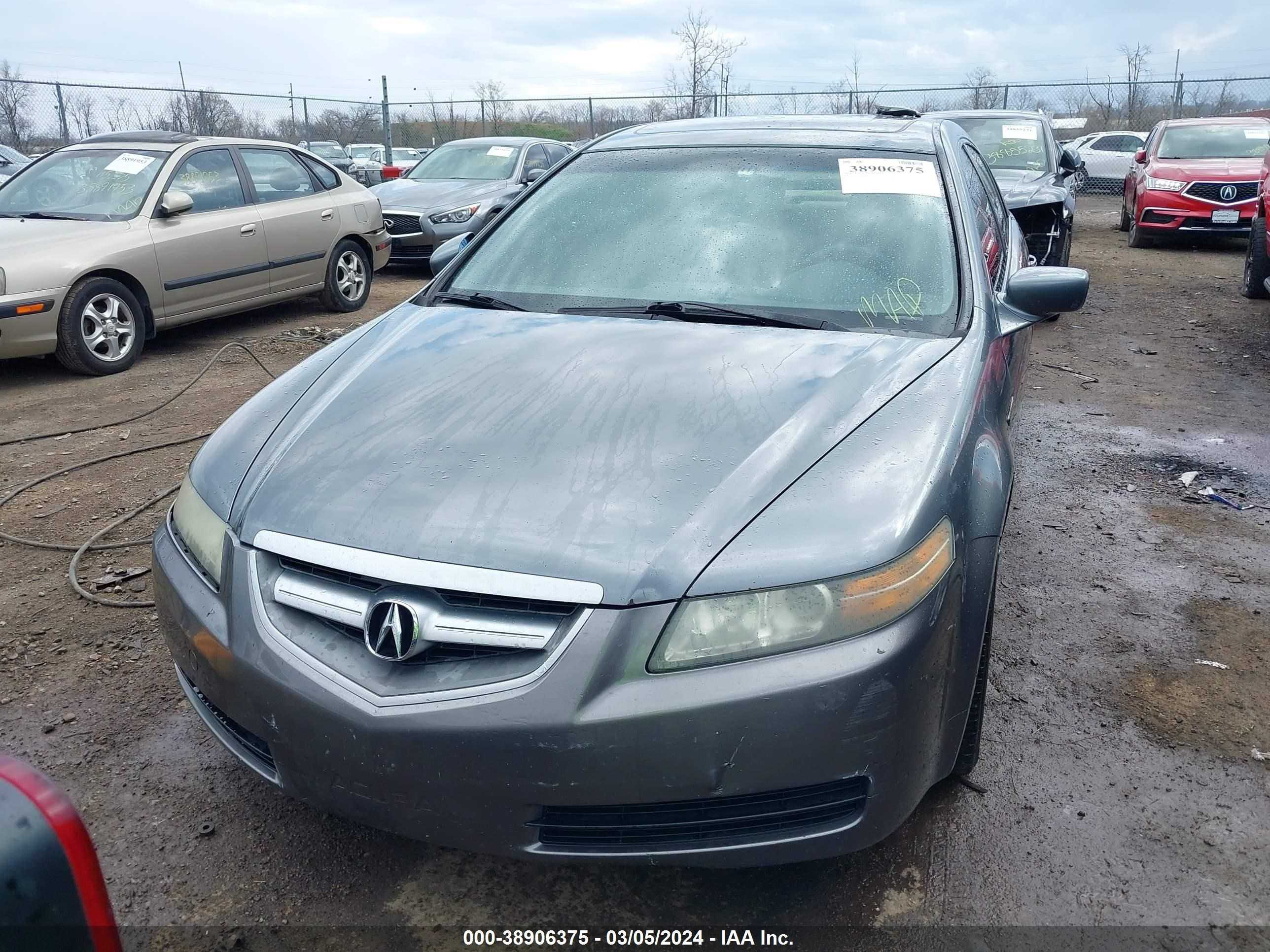 Photo 11 VIN: 19UUA66205A077710 - ACURA TL 