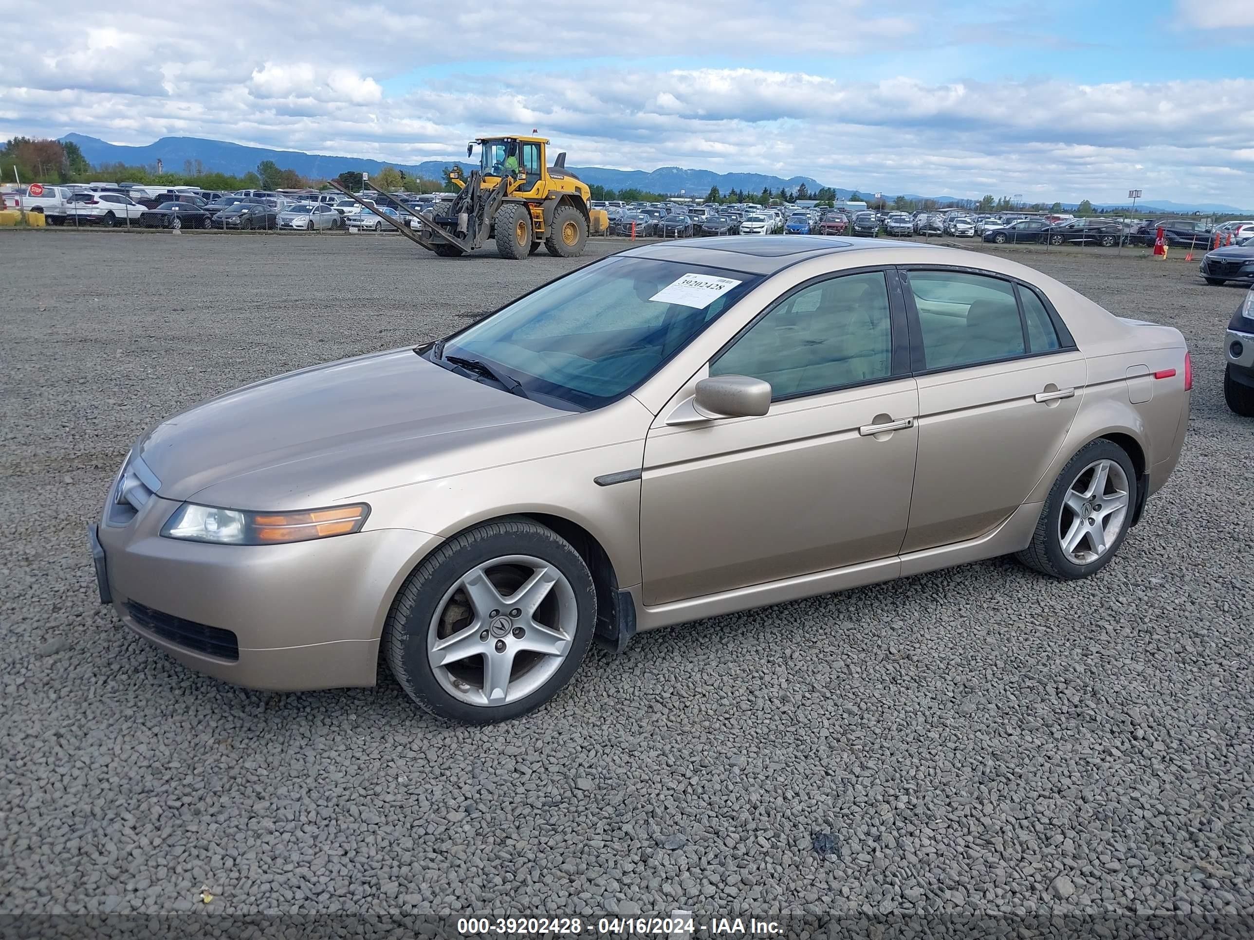 Photo 1 VIN: 19UUA66206A026533 - ACURA TL 