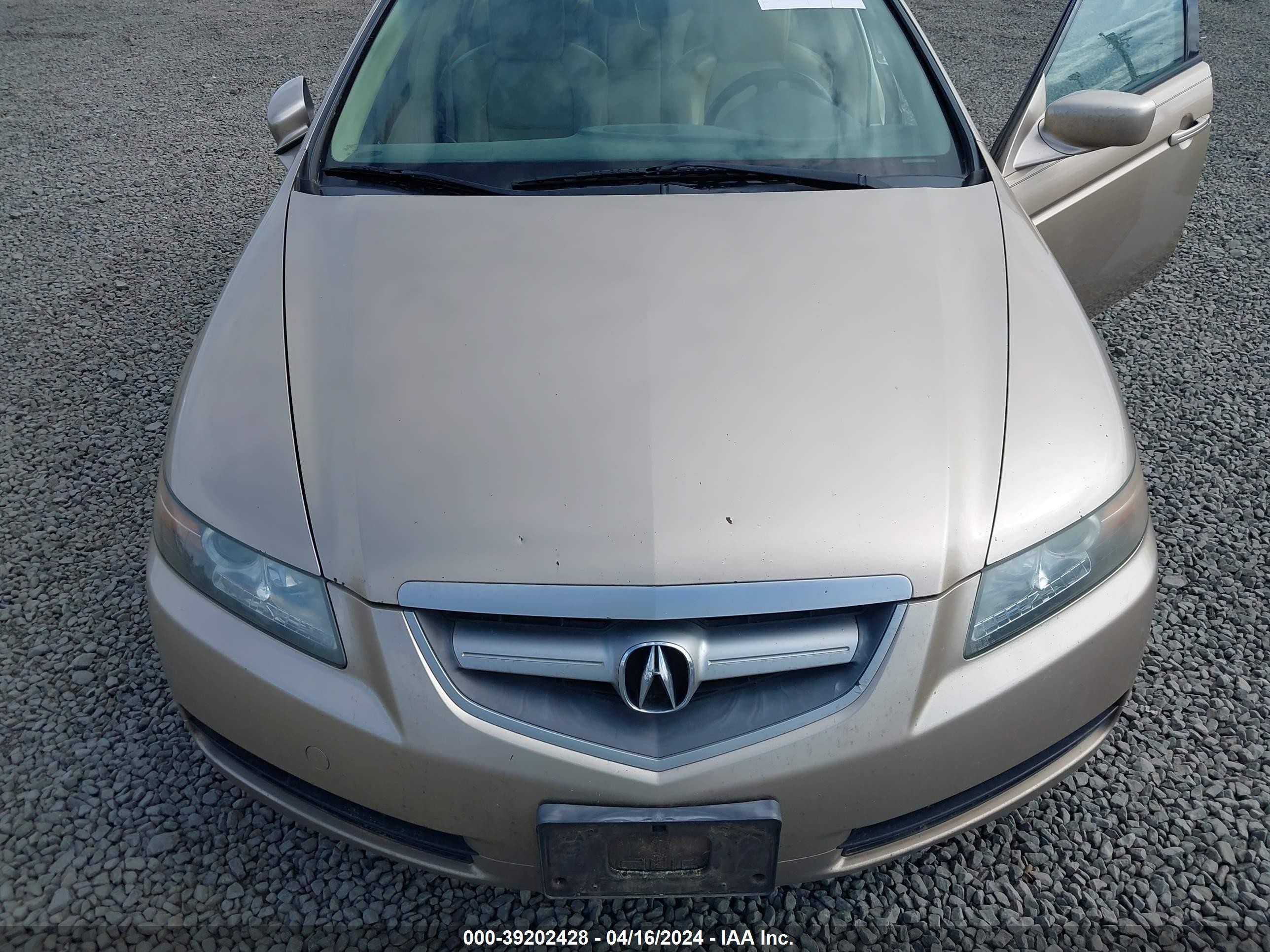 Photo 5 VIN: 19UUA66206A026533 - ACURA TL 