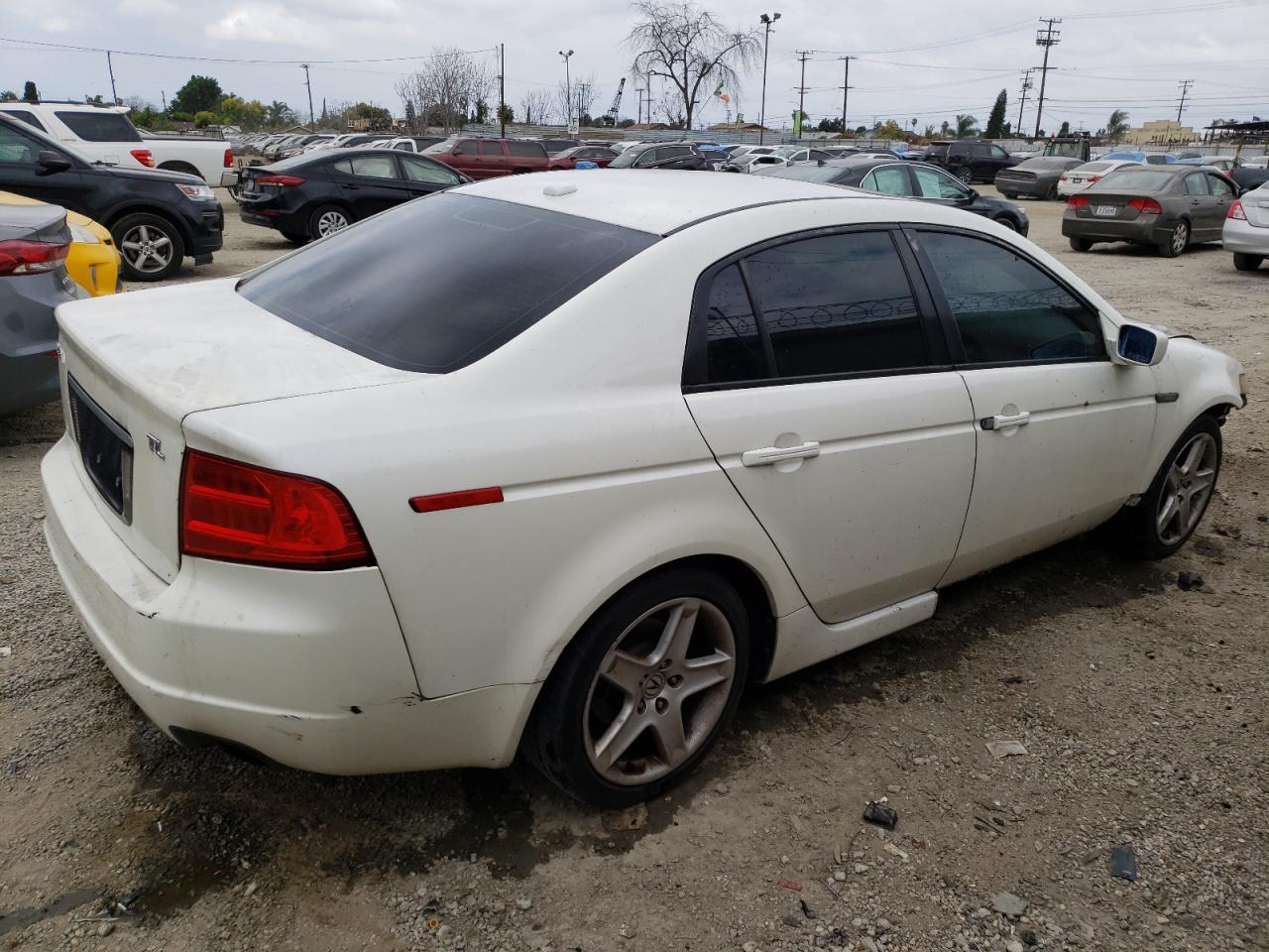 Photo 2 VIN: 19UUA66206A031294 - ACURA TL 