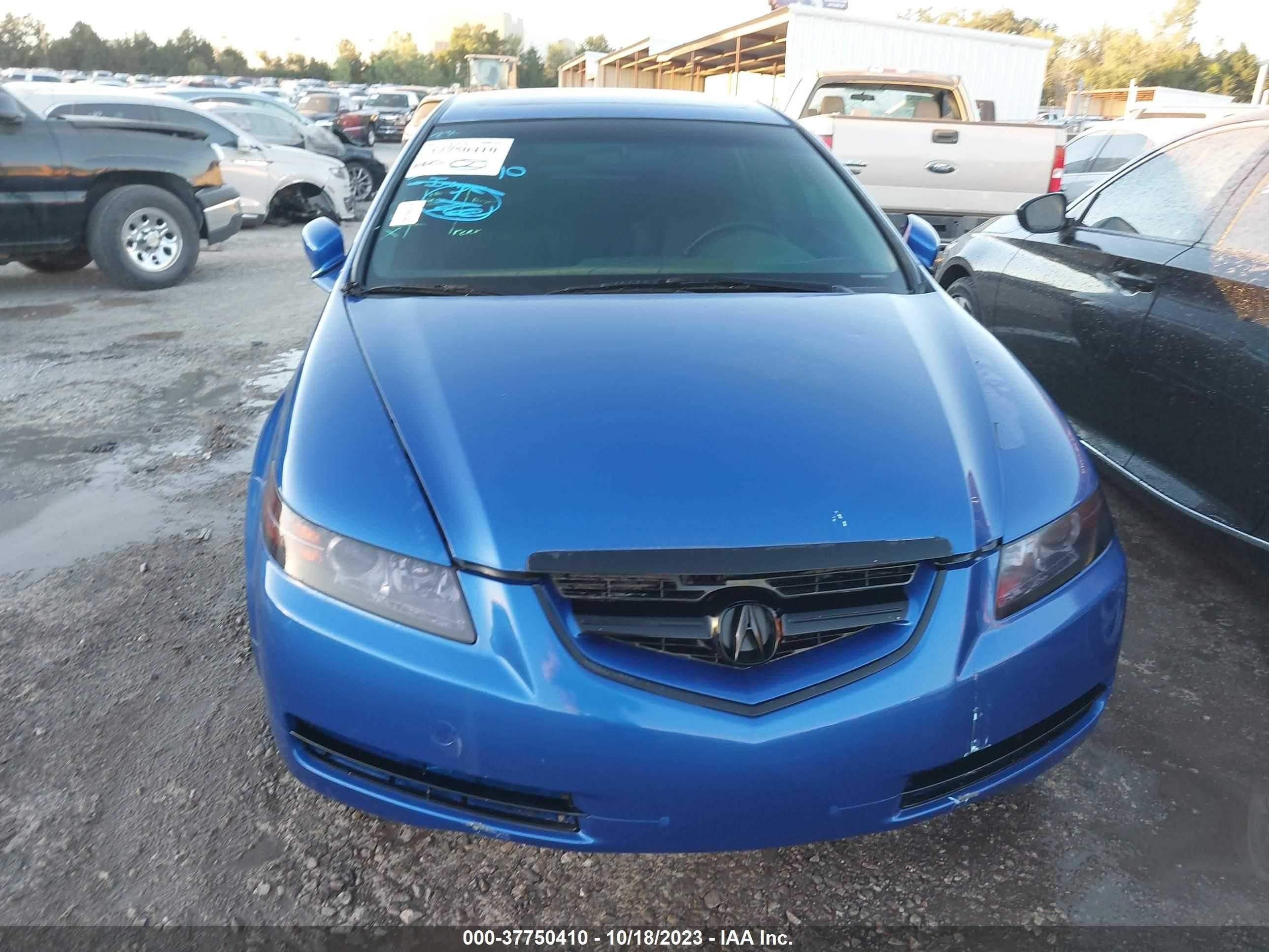 Photo 11 VIN: 19UUA66215A051620 - ACURA TL 