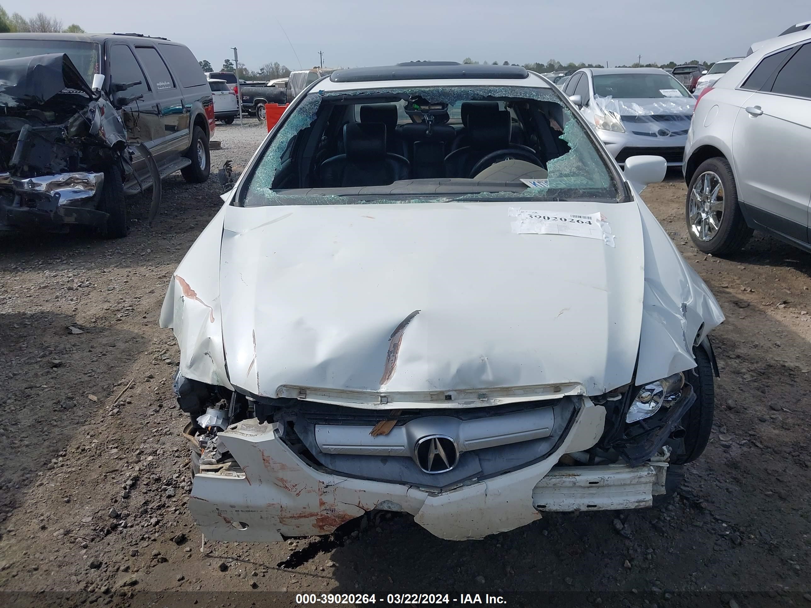 Photo 11 VIN: 19UUA66216A060464 - ACURA TL 