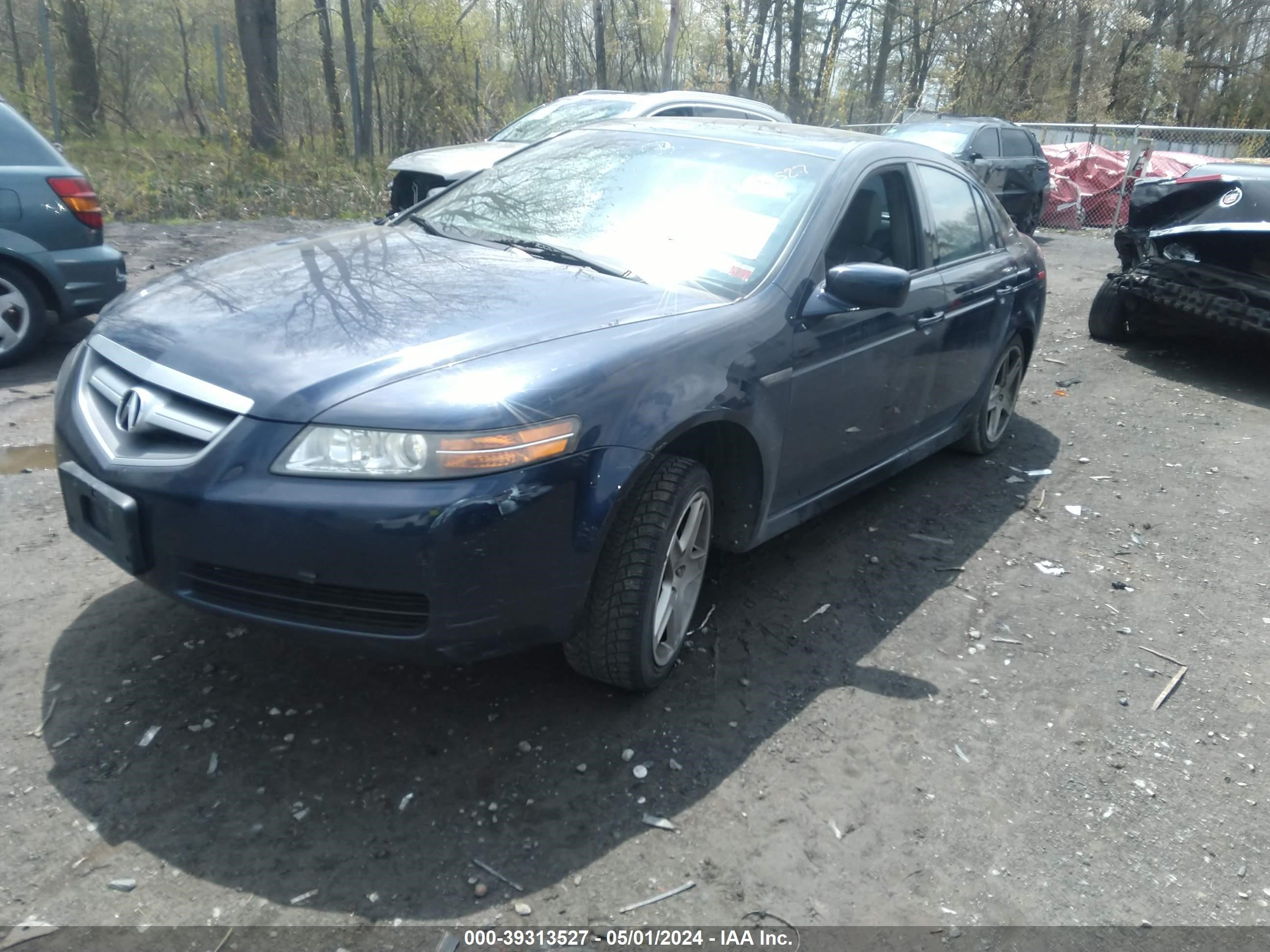 Photo 1 VIN: 19UUA66216A060836 - ACURA TL 