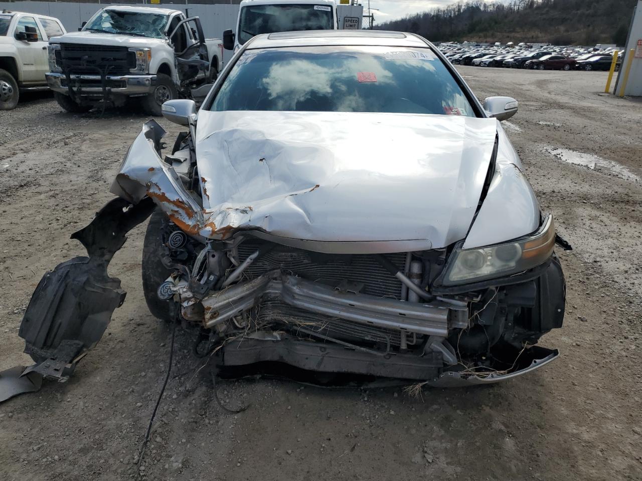 Photo 4 VIN: 19UUA66217A014148 - ACURA TL 