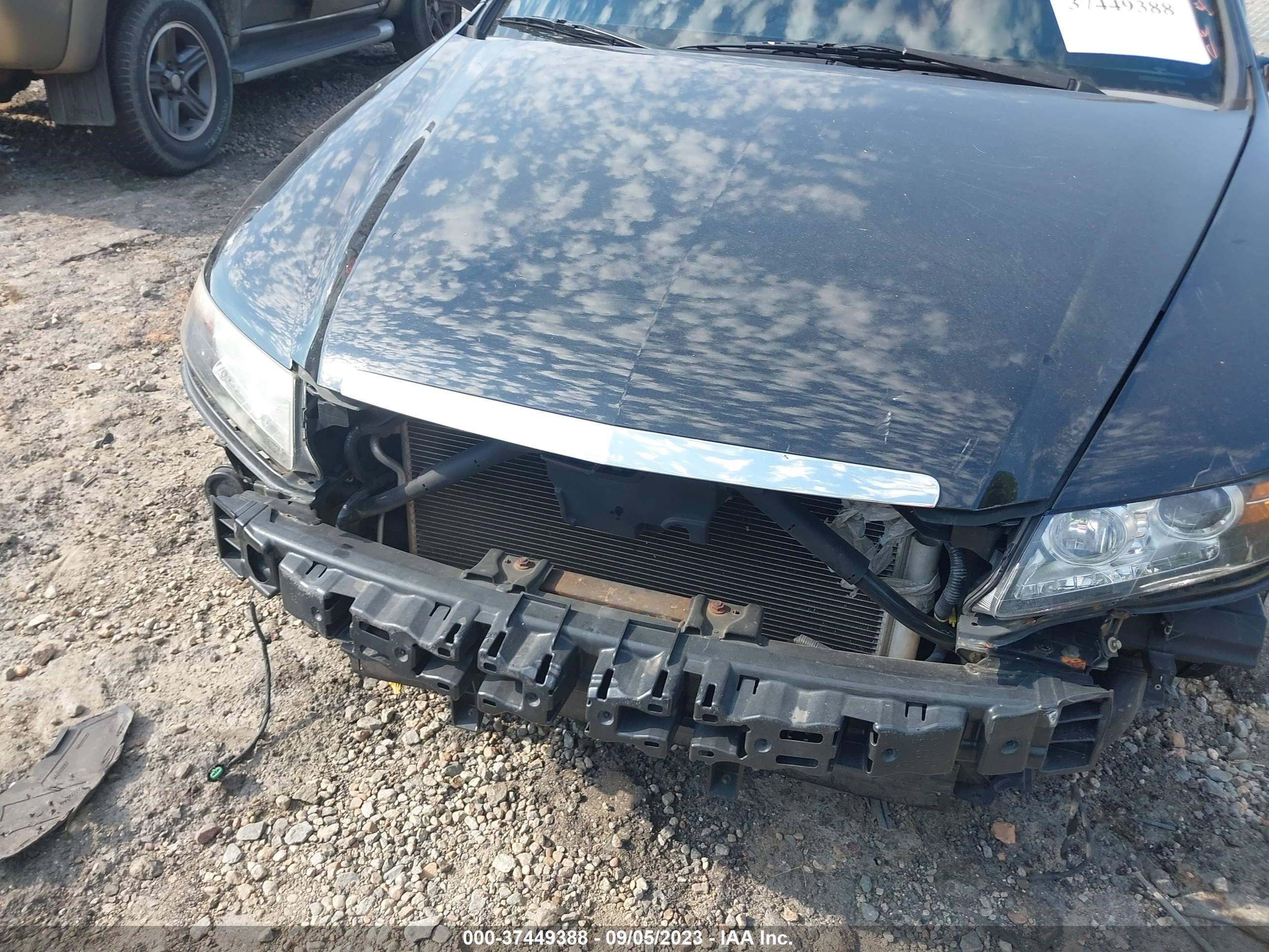 Photo 12 VIN: 19UUA66217A049031 - ACURA TL 