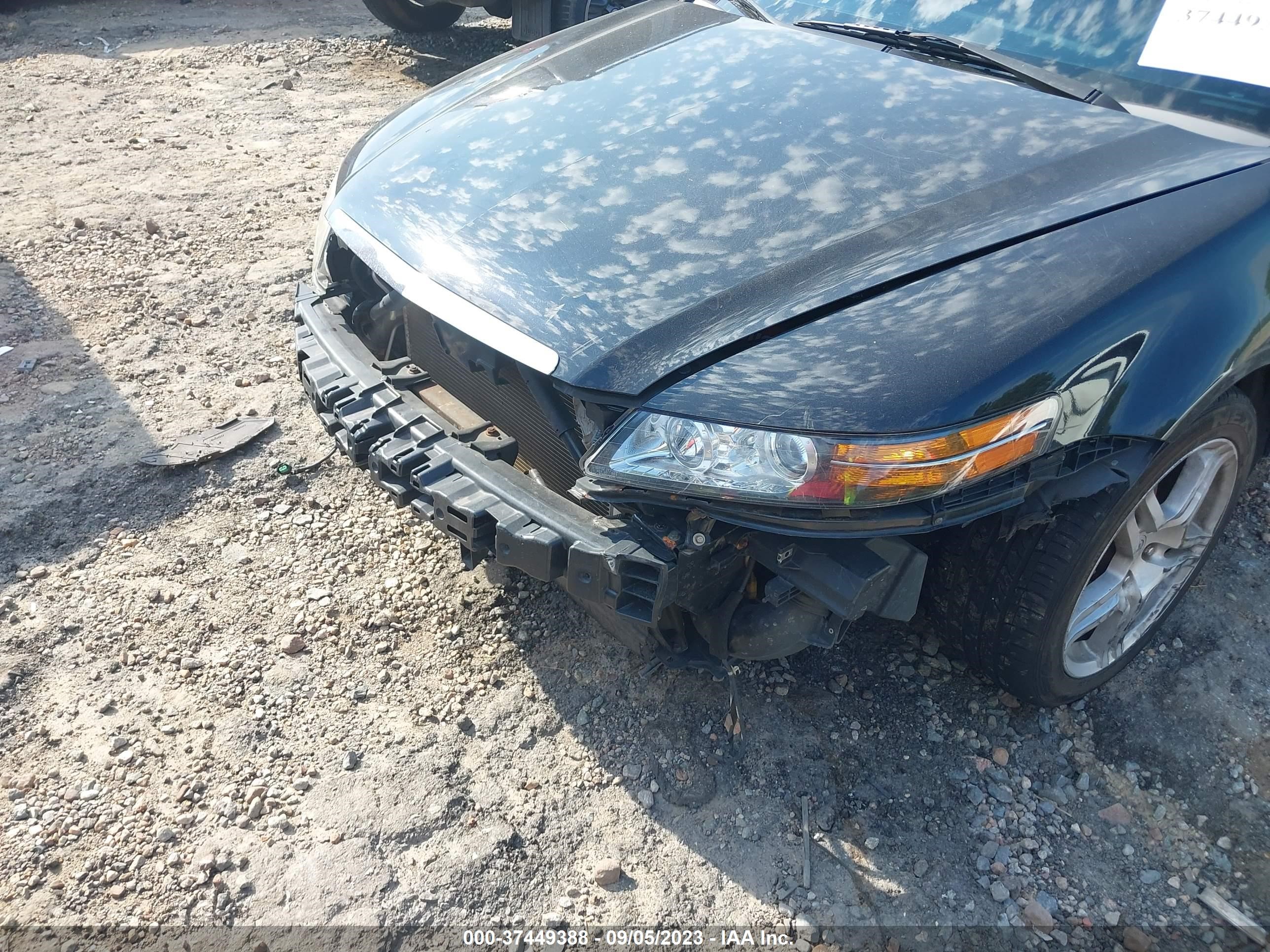 Photo 5 VIN: 19UUA66217A049031 - ACURA TL 